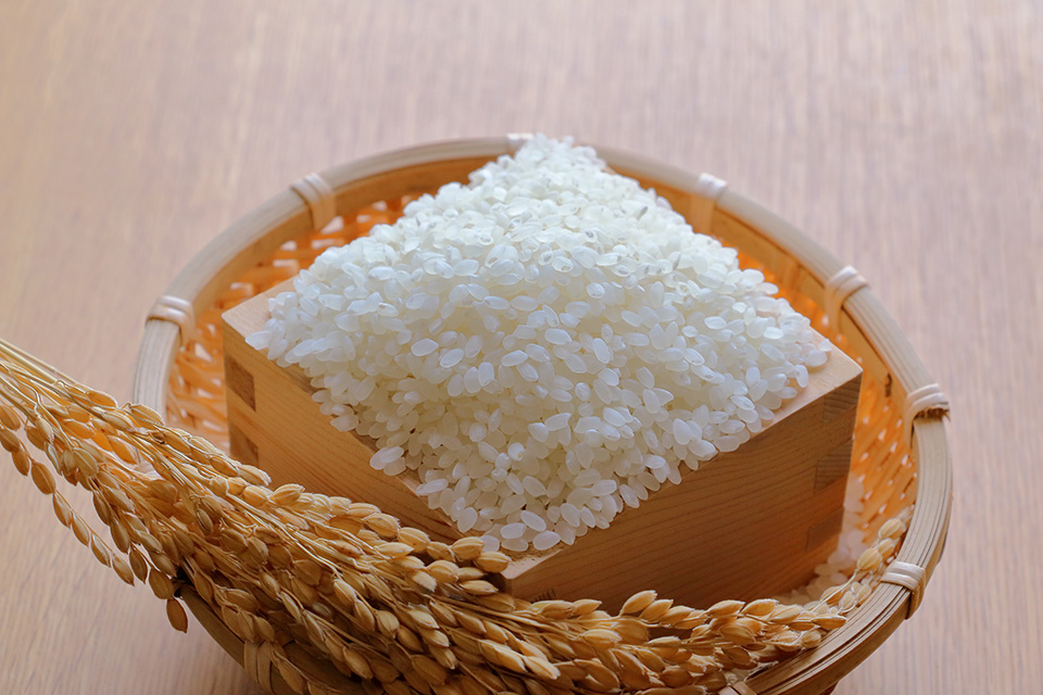 「新米」(玄米・白米)北海道秩父別町 高崎農園 ゆめぴりか5kg