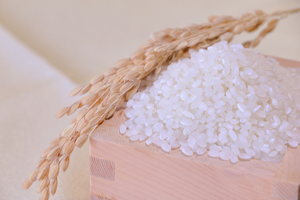 「新米」(玄米・白米)北海道秩父別町 高崎農園 ゆめぴりか10kg